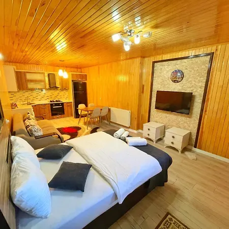 Kuzey Palace 2* Uzungöl