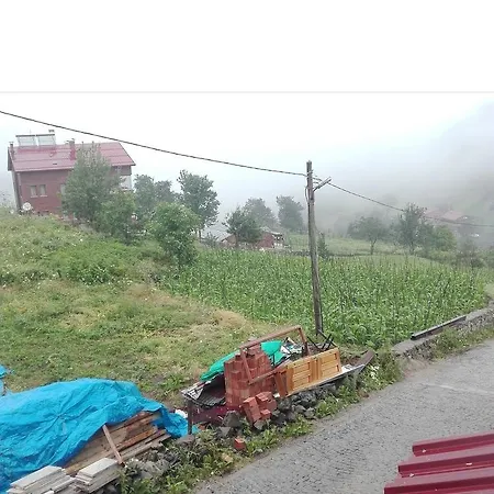 Kuzey Palace Hotel Uzungol