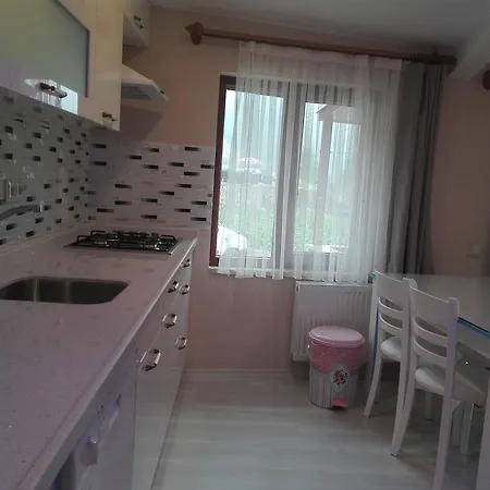 Kuzey Palace