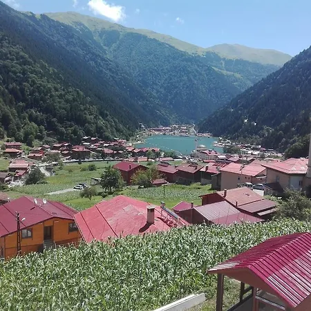 Hotel Kuzey Palace