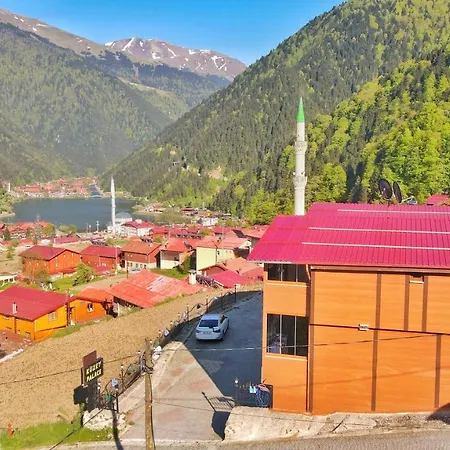Hotel Kuzey Palace Uzungol
