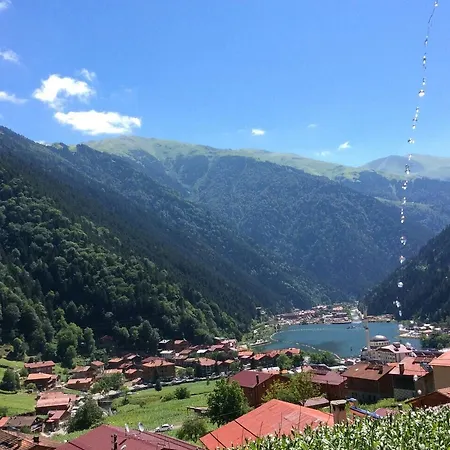 Kuzey Palace Hotel